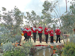 Hampton Court best garden competition. Australian garden sponsored by Qantas. We won!